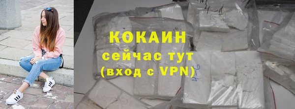 ПСИЛОЦИБИНОВЫЕ ГРИБЫ Вяземский