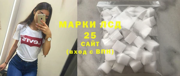 ПСИЛОЦИБИНОВЫЕ ГРИБЫ Вяземский