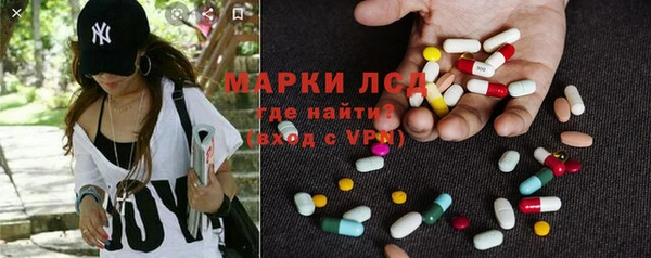 ПСИЛОЦИБИНОВЫЕ ГРИБЫ Вяземский