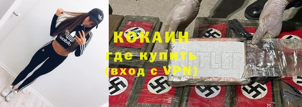 ПСИЛОЦИБИНОВЫЕ ГРИБЫ Вяземский